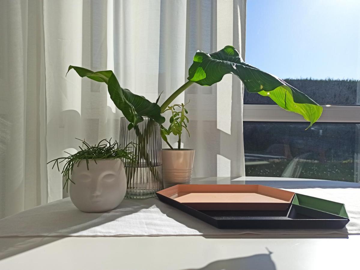 Ferienwohnung Bajo Con Jardin Privado Santander Exterior foto